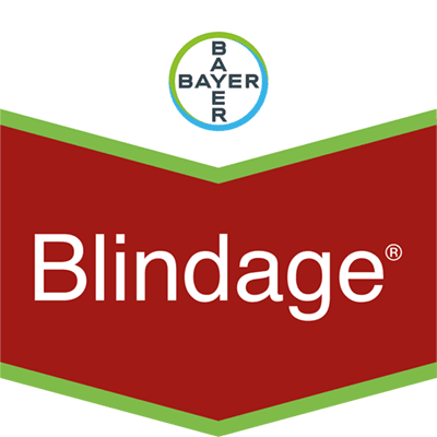 Blindage® 60 FS