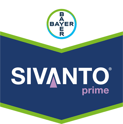 Sivanto® Prime