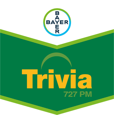 Trivia® 727 PM