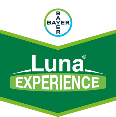 Luna® Experience